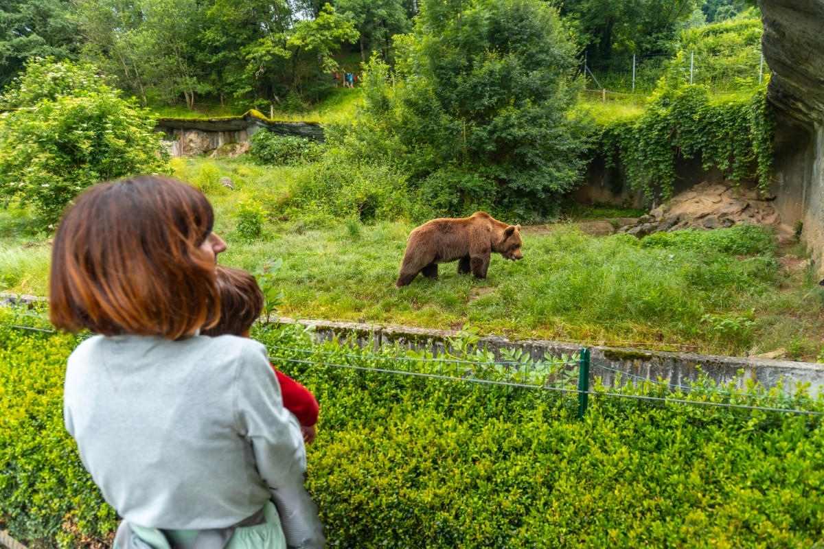 Stratégies de conservation