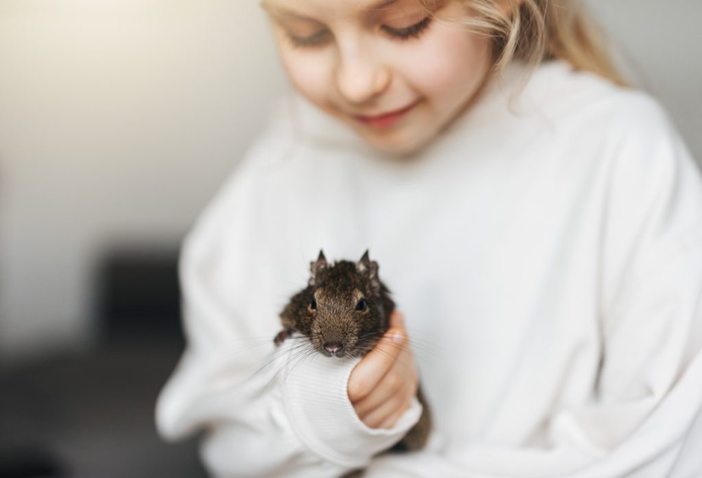 bébés animaux méconnus