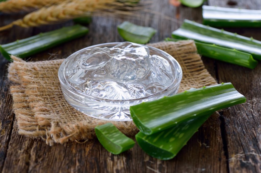 bienfaits méconnus de l'aloe vera