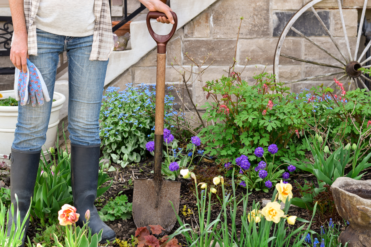 choix outils jardinage