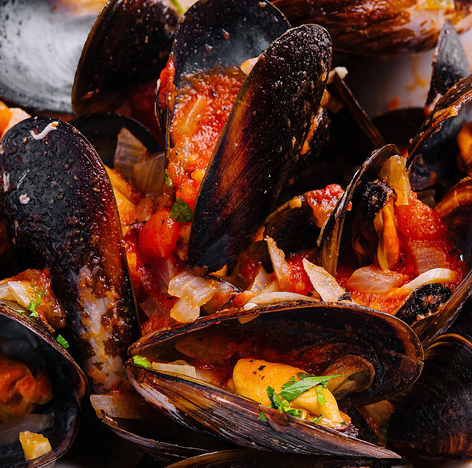 Mussels in tomato sauce close up background