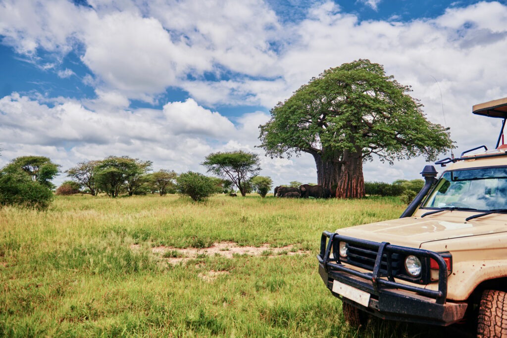 parc de Ruaha tanzanie