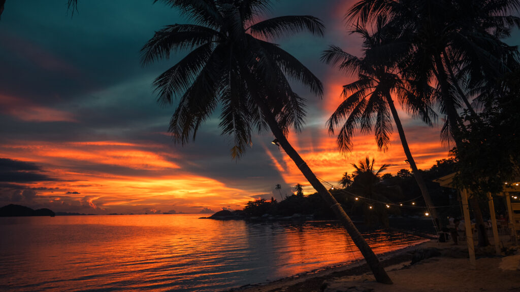 couché de soleil