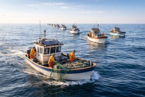 découvrez la définition du terme « flotiller » et apprenez comment il est utilisé en mer, avec des explications claires et des exemples pratiques.